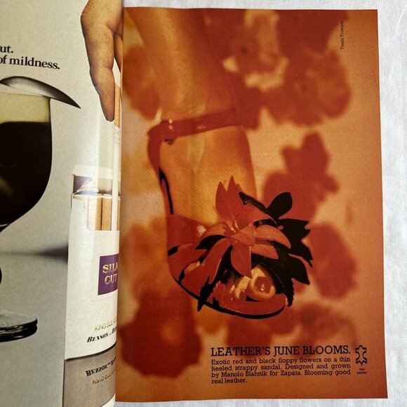 BRITISH VOGUE - JUNE 1974 - Picture 9 of 15